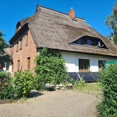 Renovated Apartment In The Old Farmhouse Krusenhagen Luaran gambar