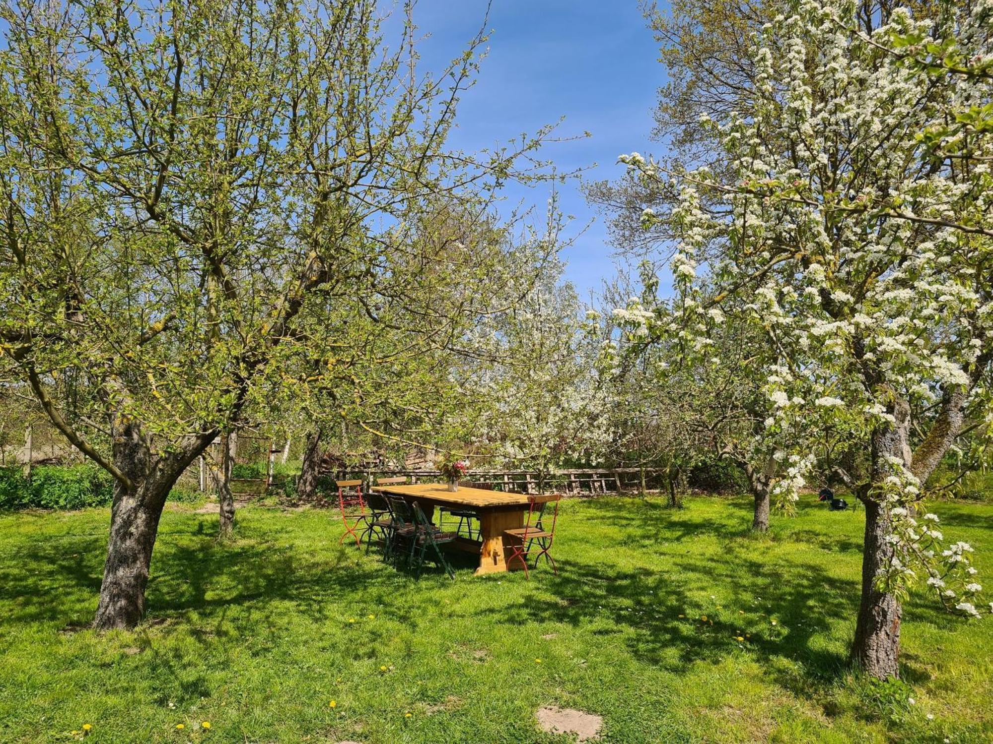 Renovated Apartment In The Old Farmhouse Krusenhagen Luaran gambar